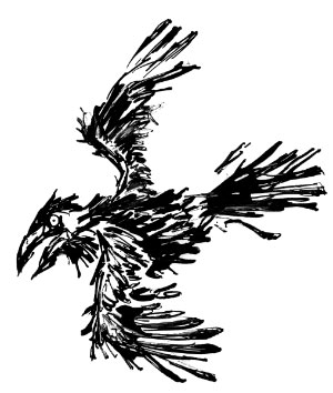 dessin de corbeau